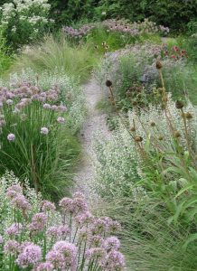 Inspiration graminées légèreté compositeur végétale architecte paysagiste plantations massif de fleurs vivaces arbustes jardinier paysagiste pays-de-gex