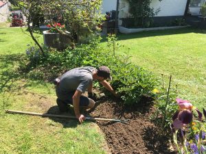 Entretien de jardin jardinier-paysagiste jardinage taille de haie tonte contrat coupe arbre arbustes désherbage