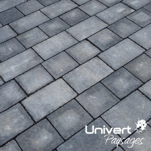 pavage entrée maison jardin en pavés. Dallage pays-de-gex univert paysagiste