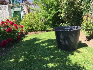 jardinier paysagiste entretien espaces verts jardin pays-de-gex taille tonte SAP désherbage