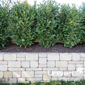 mur de soutènement maçonné en bloc bimuro birkenmeier paysdegex univert paysages aménagement paysager terrassement étages ja (7)