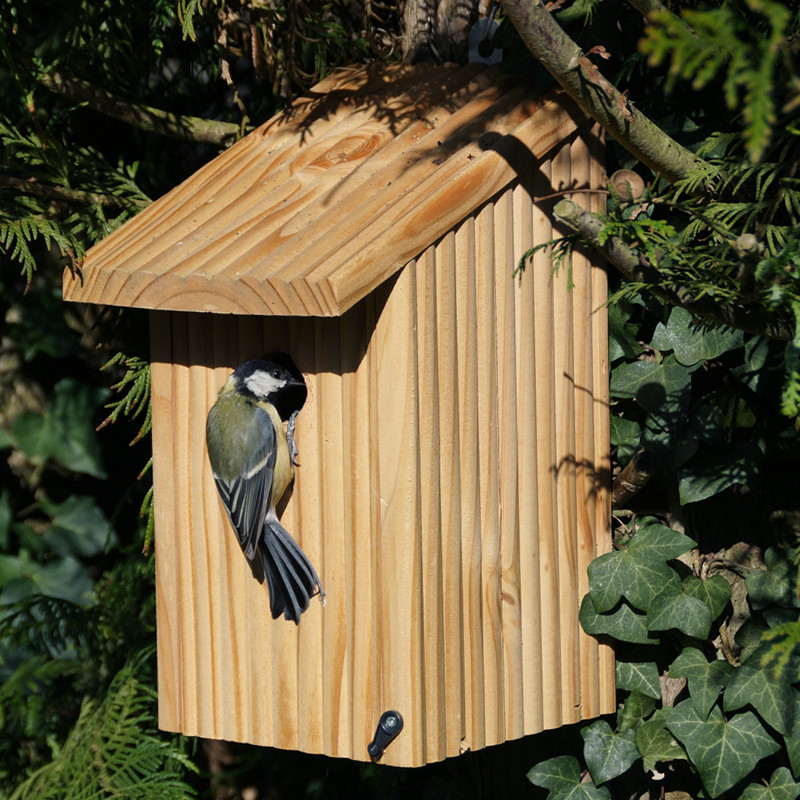 nichoir pour mésanges installation paysagiste jardinier entretien de jardin chenilles processionnaires nid oiseaux cabane mangeoire