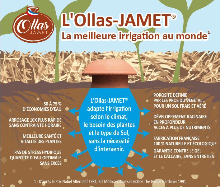 Oya : utilisation et arrosage pour une irrigation naturelle