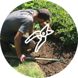 Paysagiste pays de gex jardinier désherbage taille de haie tonte gazon entretien espaces verts parcs et jardins élagage nettoyage terrasse SAP impo