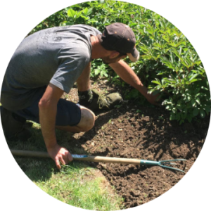 Paysagiste pays de gex jardinier désherbage taille de haie tonte gazon entretien espaces verts parcs et jardins élagage nettoyage terrasse SAP impo
