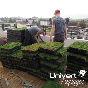 Paysagiste balcon pays-de-gex - végétalisation de deux terrasses en attique dans un immeuble à Saint-genis-pouilly - grutage et vues drone. plantations, terrasse bois gradconcept, jardinières - UNIVERT PAYSAGES paysagiste-pays-de-gex