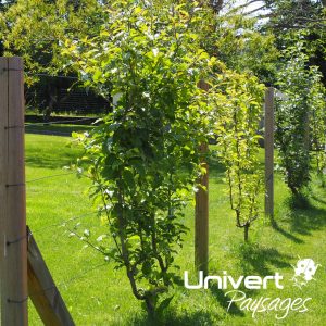 Aménagement paysager Divonne Pays-de-gex Univert Coccinelle piscine terrasse grès cérame abri mur plantations fruitiers arbres fleurs jardin