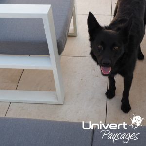 Aménagement paysager Divonne Pays-de-gex Univert Coccinelle piscine terrasse grès cérame abri mur plantations fruitiers (21)