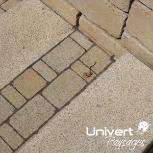 Aménagement paysager Divonne Pays-de-gex Univert Coccinelle piscine terrasse grès cérame abri mur plantations fruitiers (21)