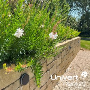 Aménagement paysager Divonne Pays-de-gex Univert Coccinelle piscine terrasse grès cérame abri mur plantations fruitiers arbres fleurs jardin