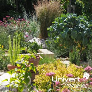 Aménagement paysager Divonne Pays-de-gex Univert Coccinelle piscine terrasse grès cérame abri mur plantations fruitiers arbres fleurs jardin