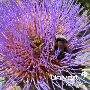 Formation biodiversité jardin vivant, écojardin écoconception pays-de-gex paysagiste univert paysages collonges valleiry vulbens farges écorans airans péron challex Ain