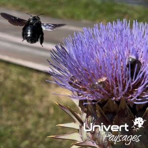 Formation biodiversité jardin vivant, écojardin écoconception pays-de-gex paysagiste univert paysages collonges valleiry vulbens farges écorans airans péron challex Ain