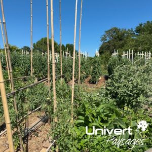 Formation biodiversité jardin vivant, écojardin écoconception pays-de-gex paysagiste univert paysages collonges valleiry vulbens farges écorans airans péron challex Ain permaculture