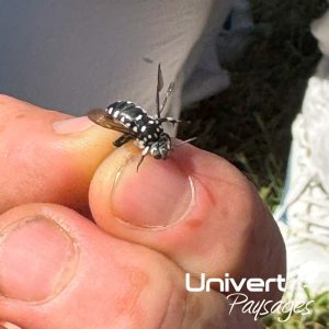 Formation biodiversité jardin vivant, écojardin écoconception pays-de-gex paysagiste univert paysages collonges valleiry vulbens farges écorans airans péron challex Ain