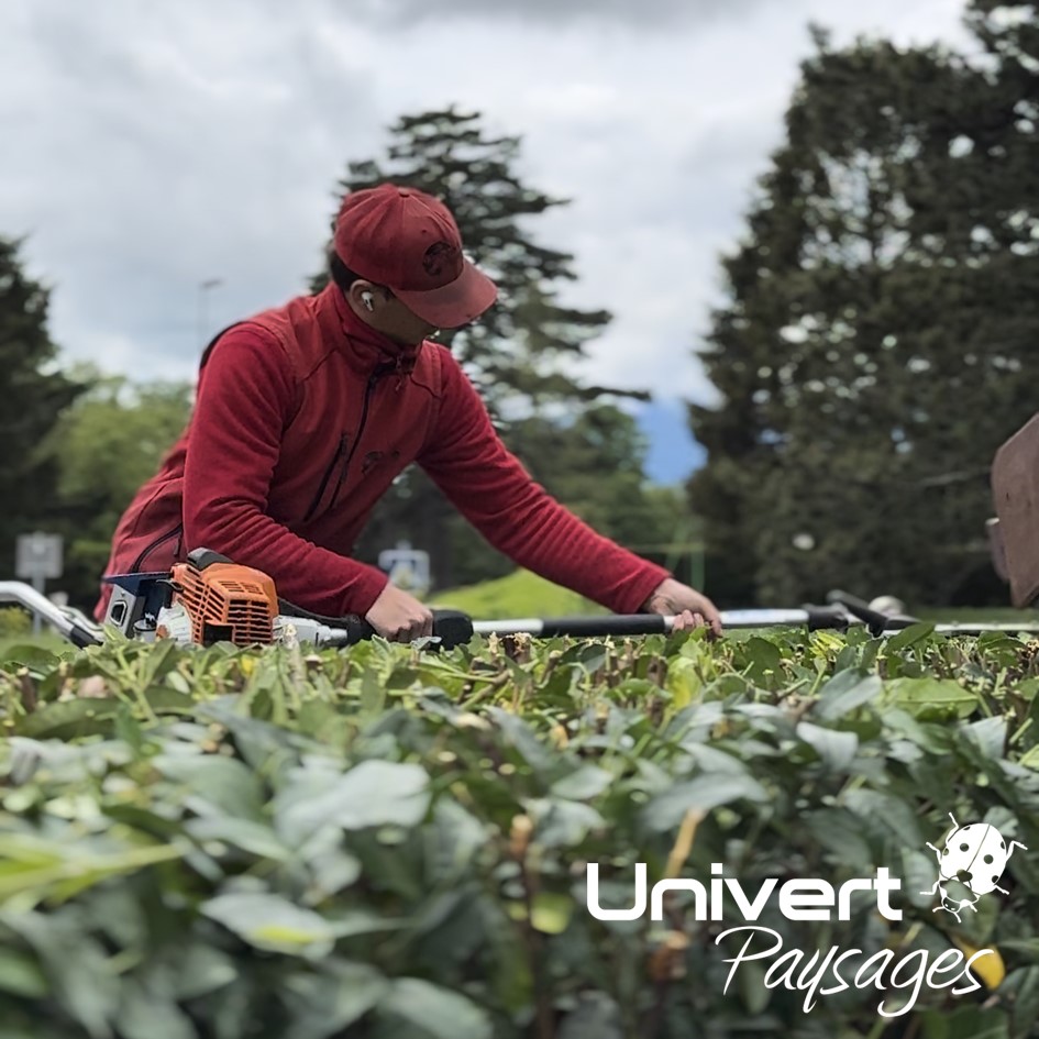 Entretien de jardin soins aux plantes, tonte, taille, désherbage, feuilles mortes, paysagiste jardinier pays-de-gex
