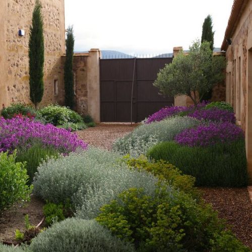 Inspiration méditerraneenne plantations massif de fleurs vivaces arbustes jardinier paysagiste pays-de-gex