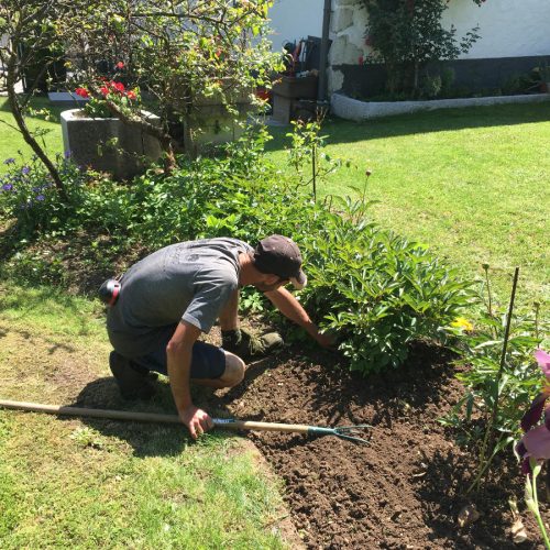 Entretien de jardin jardinier-paysagiste jardinage taille de haie tonte contrat coupe arbre arbustes désherbage